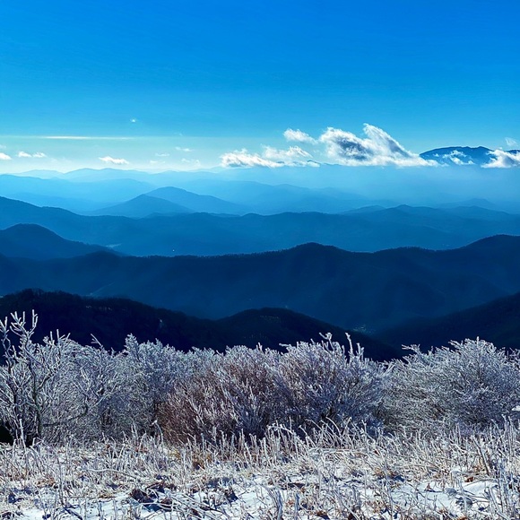 Meet your Posher, Maria - Picture 2 of 2